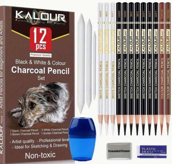 Charcoal Drawing Kit